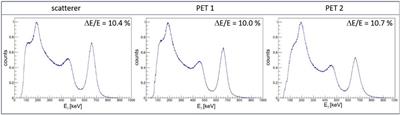 Component characterization and commissioning of a gamma-PET prototype detector system